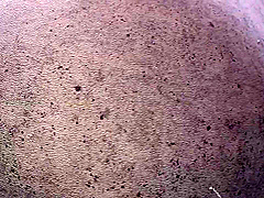 Hottest sex movie Stockings hot , take a look