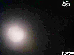 PRED-077 Employee Travel NTR