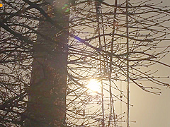 My Stepson (Eng Sub)