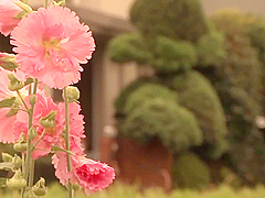 Crazy sex scene Japanese exotic full version