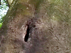 Hottest porn clip Japanese craziest just for you