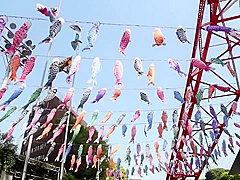 Hottest porn clip Japanese craziest just for you