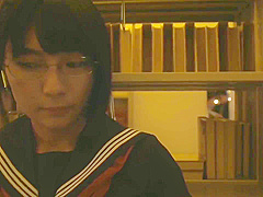 Japan Secret Investigator -hotarunogi