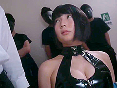 Japan Secret Investigator -hotarunogi