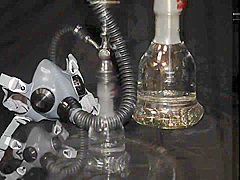 Incredible porn video Small Tits crazy