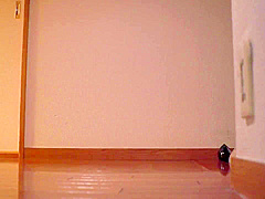 Incredible adult movie Creampie watch only for you