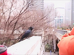 Astonishing porn video Fetish new exclusive version