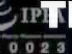 White Fit Chicks Love Asian Dicks - AMWF