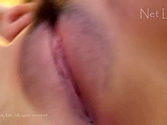 Net Linx k1421 Jav Uncensored Porn