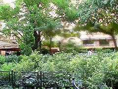 busty exchange student sofia