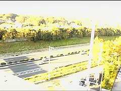 work that dick bitch