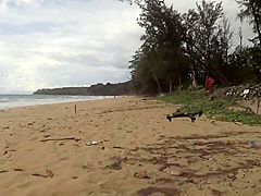 柳瀬早紀 やなパイ100％！