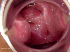 Net Linx n1476 Jav Uncensored Porn