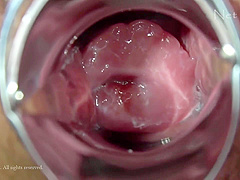 Net Linx n1476 Jav Uncensored Porn