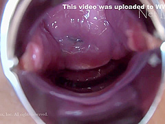 Net Linx n1476 Jav Uncensored Porn