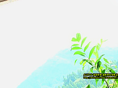 Outflow Ultra Luxury Back Spa Healing Likeness I Salon Ayami Shunhate