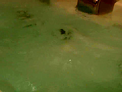 Japanese Escort Shows All Her Fucking Scenes