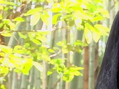 Rina Kawakami White Cotton Panties Forest Strip