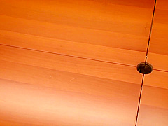 Hitomi Tanaka - Colossal Tits, Pet Secretary