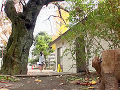 Astonishing Xxx Clip Brunette Craziest Ever Seen