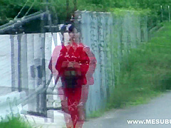 Asian Yammy Harlot Hardcore Porn Clip