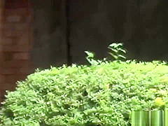 Naughty Asians pissing outdoors