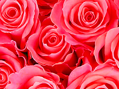 在看來是真正 nakadashi 身體皂夫人 Okita 杏梨和 HND-066