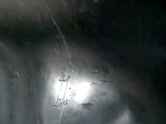 Miraidouga - 3d Vacuum Rubber Couple