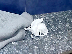 Incredible Xxx Movie Creampie Ever Seen