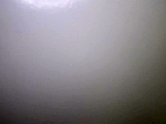 Full-breasted Asian Babe Porn Video