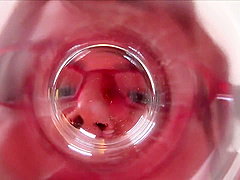 Nikm-028 An Excessively Brilliant Actress Excessively Amazing Body! Nina Nishimura