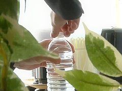 Astonishing Sex Clip Hairy Fantastic Unique