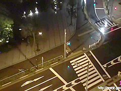 Asian Young Lady Amateur Porn