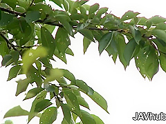 Cute Jav Babe Sucking And Fucks Two Men Outside - Hard Fuck