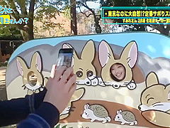 Asian Spinner Catchy Xxx Video