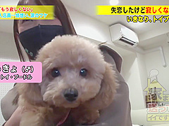 Excellent Porn Movie Big Tits Exotic Ever Seen