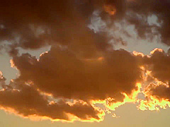 Jux-556 Quickie With A Married Woman Yuna Hayashi