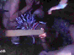 Hot And Wild Sex Orgy With Busty Girls