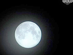 Natsuki Hikaru In Best Sex Movie Old/young Unbelievable Show