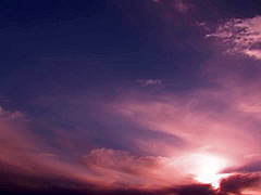 Hanabuchi Natsu - Atid-541 Pride Fell Into A Thick Black Stick Female Tax Accountant The Price Of Justice Natsu Hanabuchi