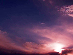 Pride Fell Into A Thick Black Stick [decensored]