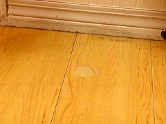 Amazing Sex Video Hd Check Ever Seen