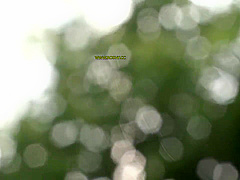 Sex With My Stepmother Who Was Out Of Reason Over And Over Again [decensored]