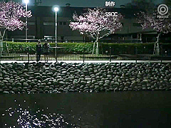 Kbi-110 Teacher Disqualification Im Sorry Im A Bad T