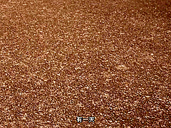 Aldn-191 [sub] The Temptation Of An Insurers Aunt Mits