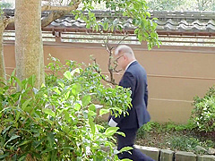 Father In-law - Nsfs-216 A Cute Brides White Body Punished By Her Fath