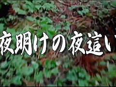 [htms-044] Pervert Town (night Visit) - Dawn Night Visi