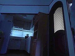 Father In-law And Ayaka Mochizuki In 117nph-048 Sons Daughter-in-laws Provocative Panty Sh