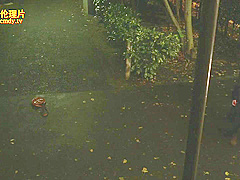 Sex Stories Of Young Asian Teen In The Feature-lengt