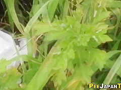 Japanese Eighteen Years Old Girl Babes Pee